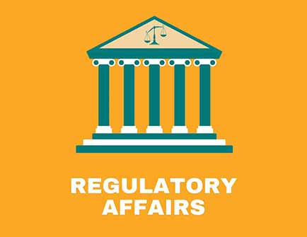 CMC Regulatory Affairs and Consultancy Services CMC Regulatory Affairs and Consultancy Services