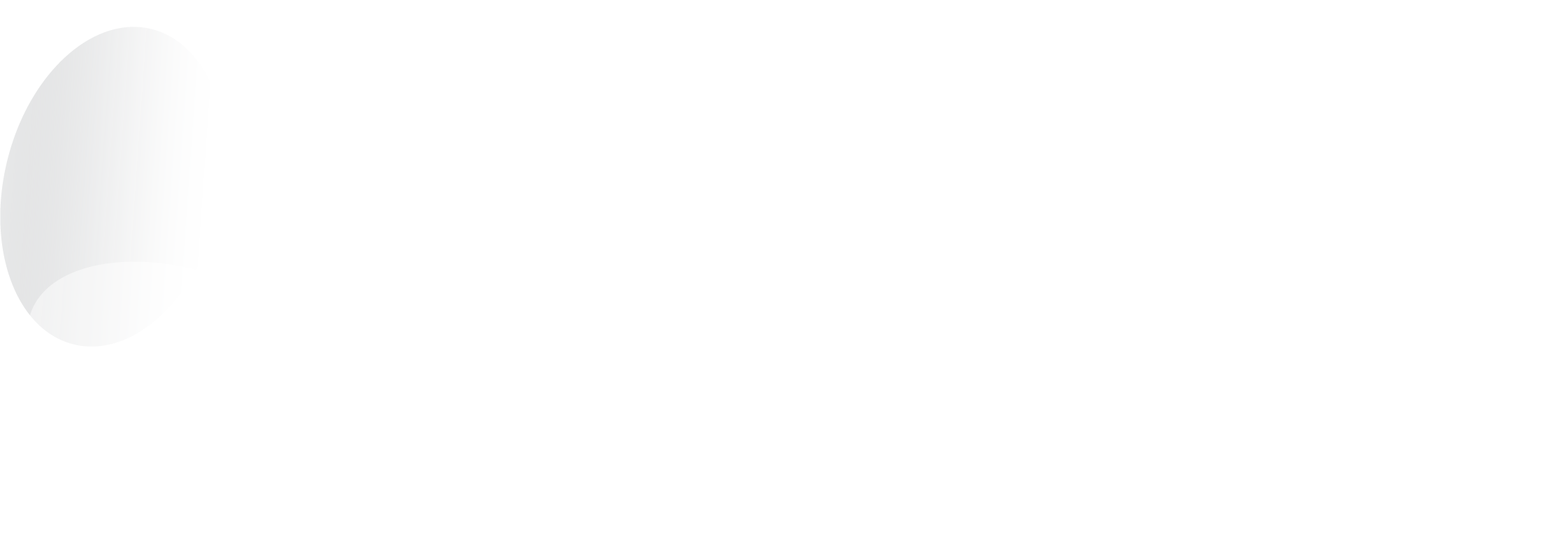 Product Life Italia S.r.l. (previously Pharma D&S) white logo